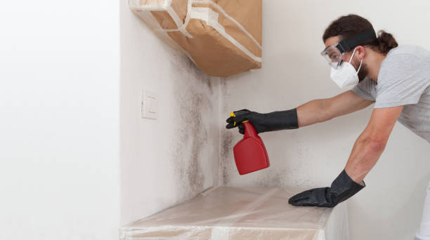 Professional Crawl Space Mold Remediation technician working in Anna, TX