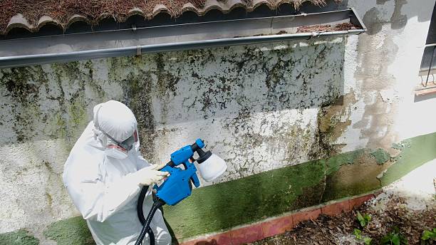 Top rated local Crawl Space Mold Remediation specialists in Anna, TX